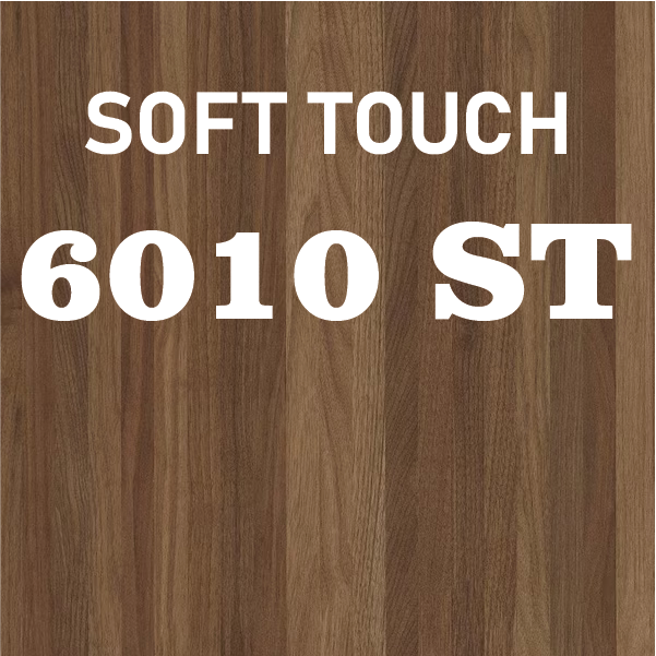 6010 ST