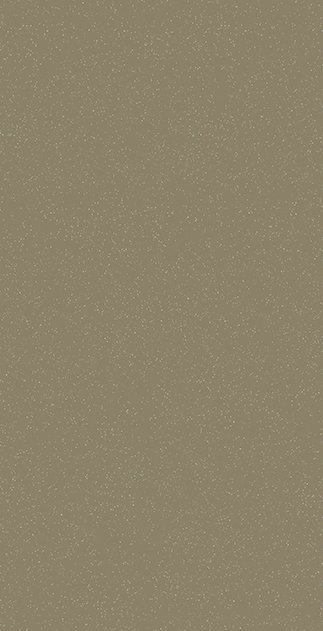 1006