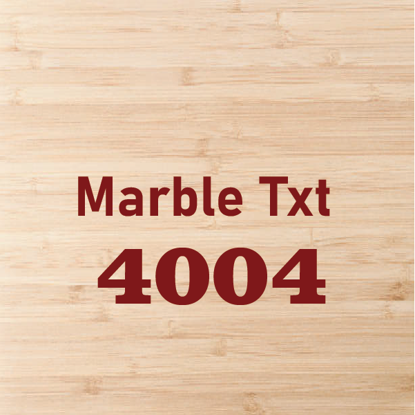 4004